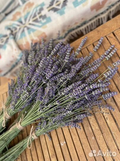 Лаванда в пучках свежесрезанная подсушенная