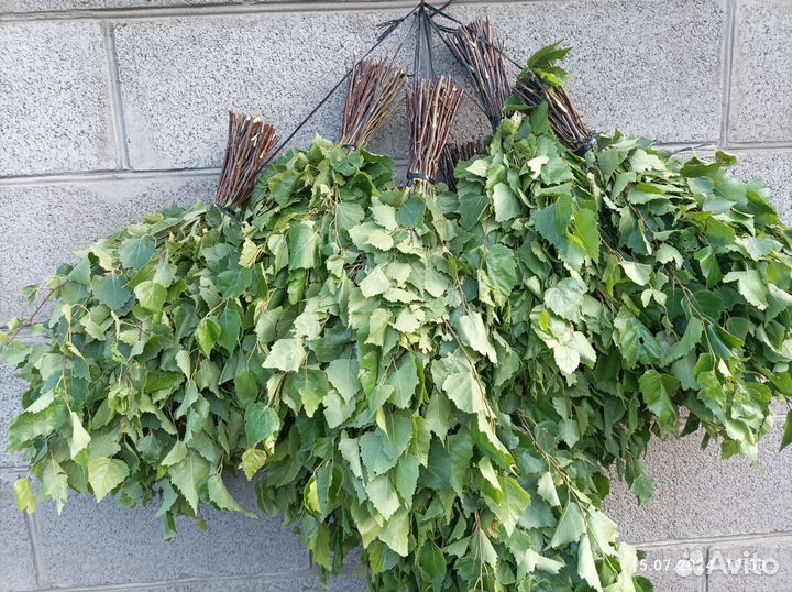 Березовые веники