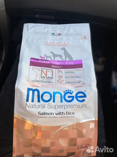 Monge extra small лосось