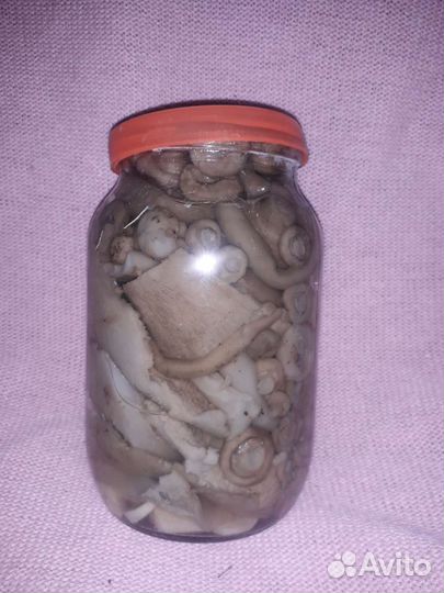 Грибы соленые