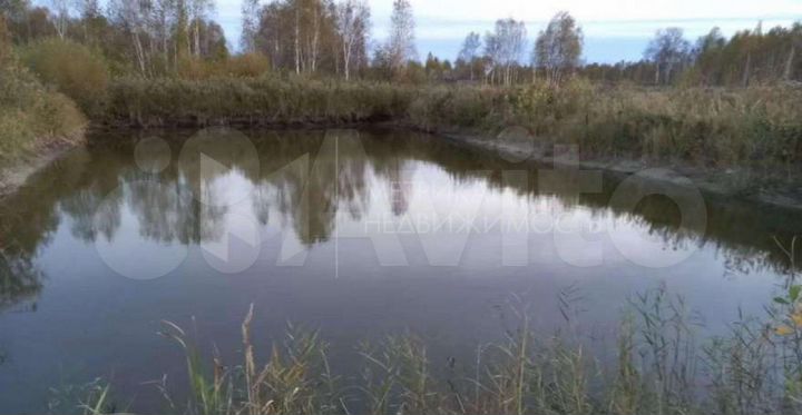 Участок 20,4 сот. (СНТ, ДНП)