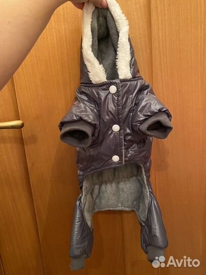 Одежда для собак мелких пород