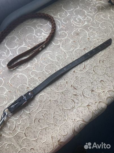 Поводок и ошейник