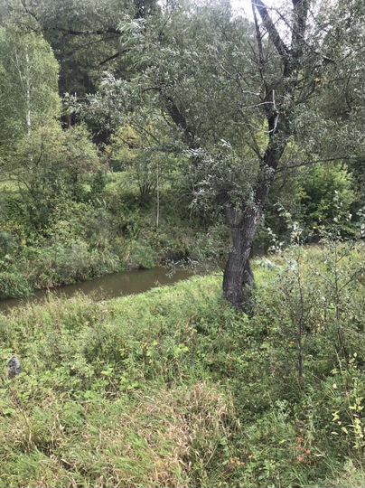 Участок 7 сот. (ИЖС)