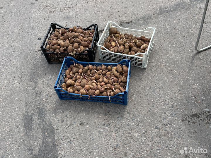 Пластиковые ящики бу