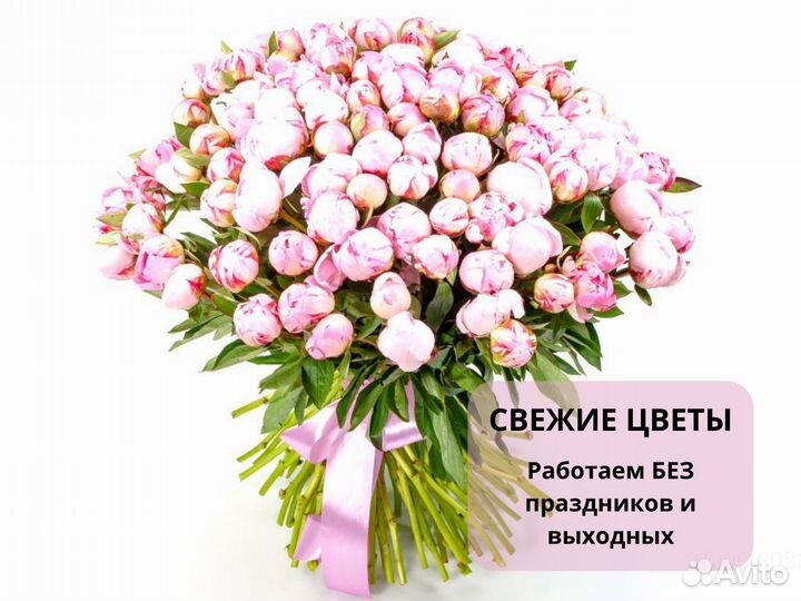 Пионы Букет 11 35 101 пион с доставкой