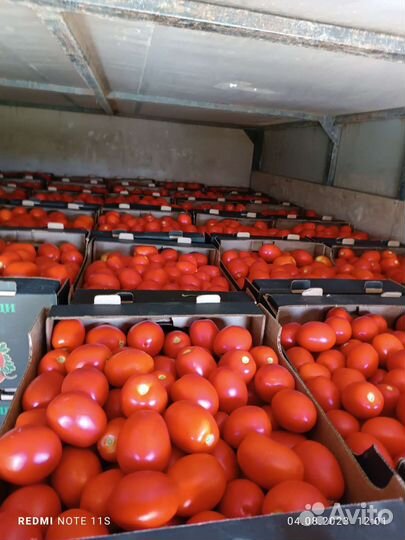 Помидоры свежие