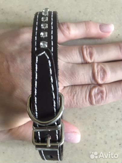 Одежда для собак, комбез - трусы, подгузник L