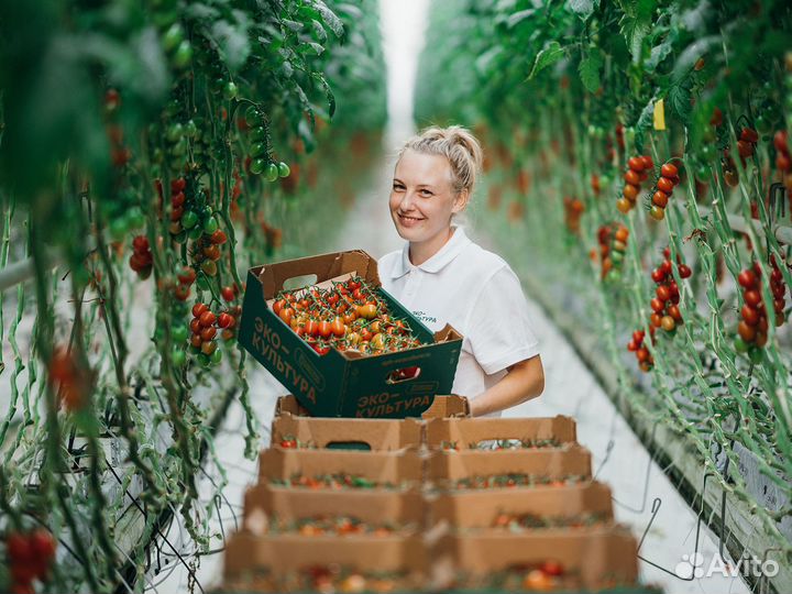 Кладовщик на склад