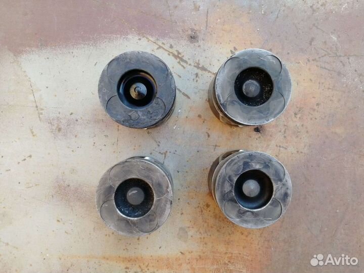 Поршни Nissan navara