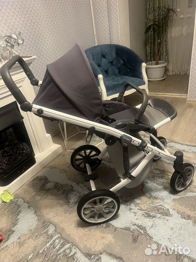 Коляска anex sport 2 в 1