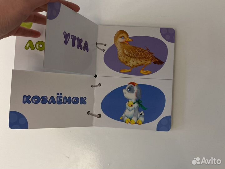 Книга развивающая Найди половинки