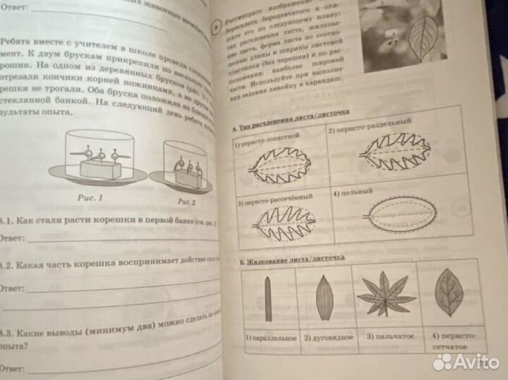 ВПР 6 класс. биология