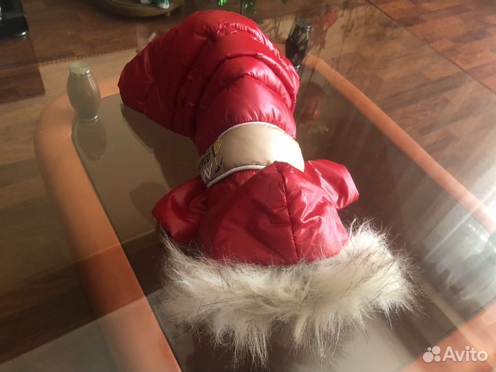 Одежда для собак мелких пород