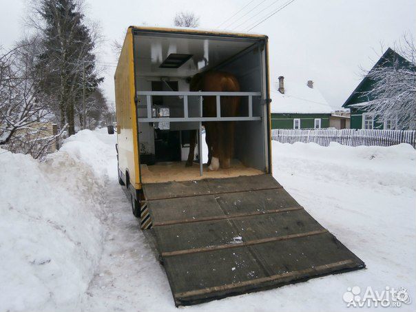 трап для газели своими руками