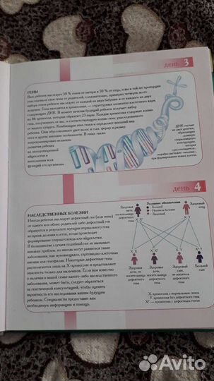 Книги для беременных