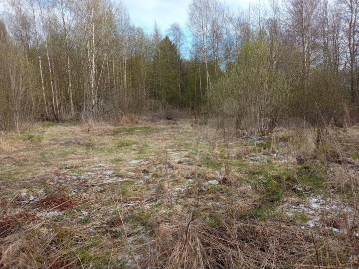 Участок 12,6 сот. (СНТ, ДНП)