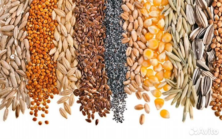 Зерно Комбикорм Отруби