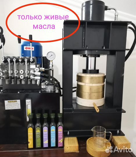 Сыродавленное масло чёрного тмина холодный отжим