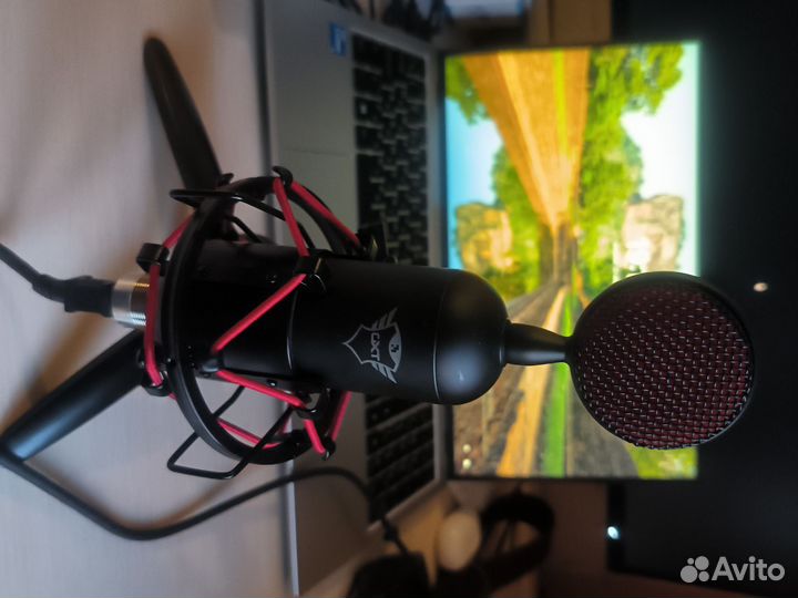 Микрофон Trust GXT 244 Buzz USB