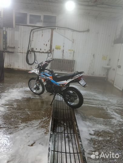 Racer Panther RC250GY-C2