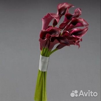 Букет из калл