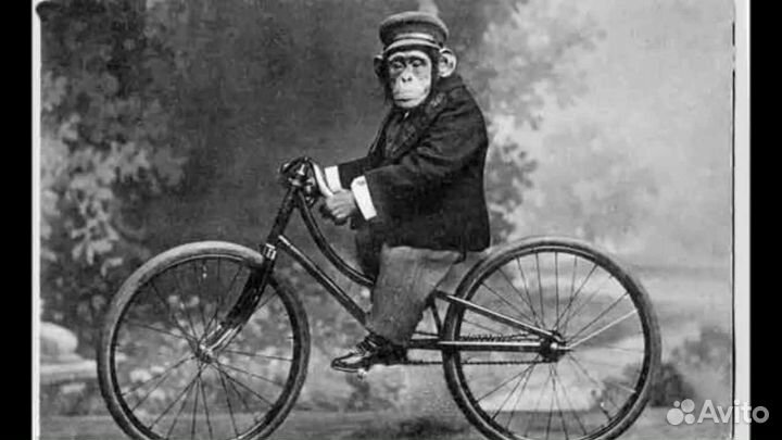 Велосипед классический