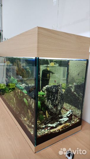 Аквариум 100л