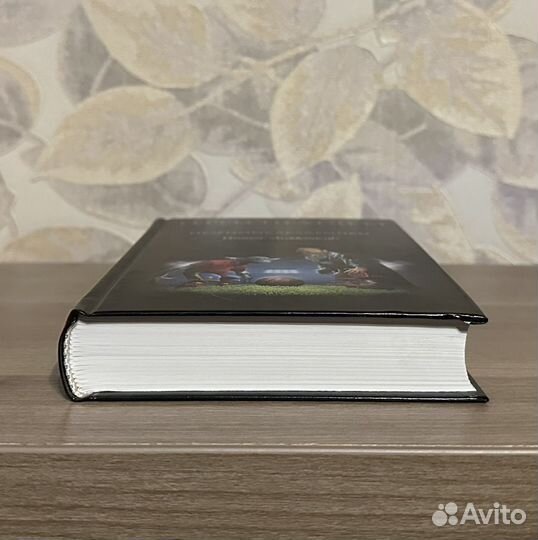 Терри Пратчетт. Незримые академики