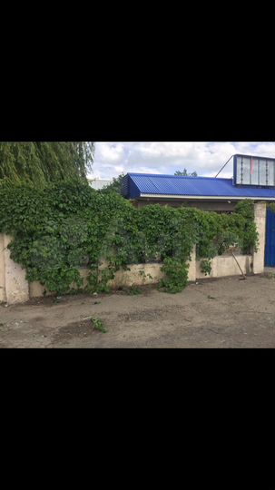 Свободного назначения, 300 м²