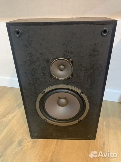 Колонки 2 штуки от музыкального центра Rising