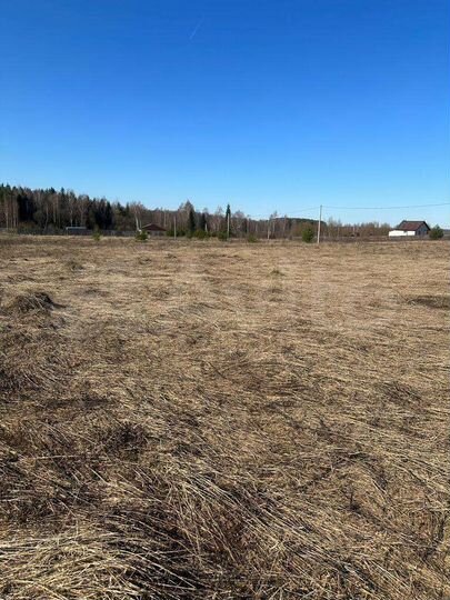 Участок 2,3 га (СНТ, ДНП)