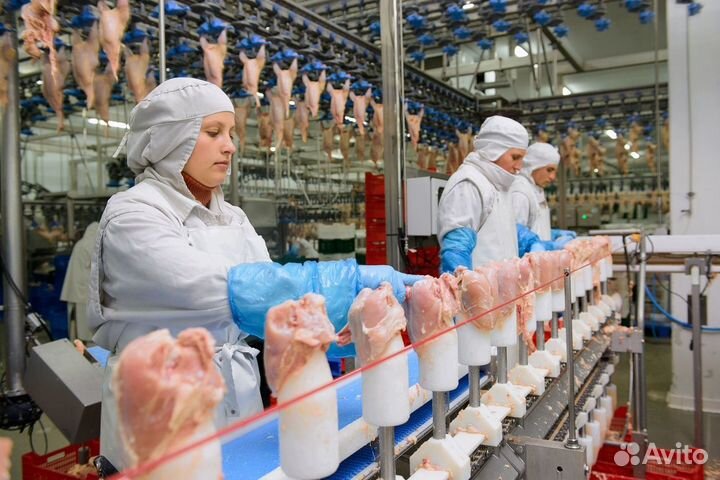 Работа на птицефабрике, стабильные условия