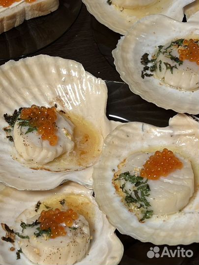 Ракушки гребешка