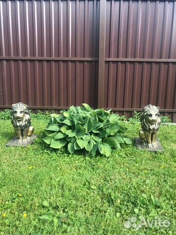 Садовые фигуры из бетона Львы