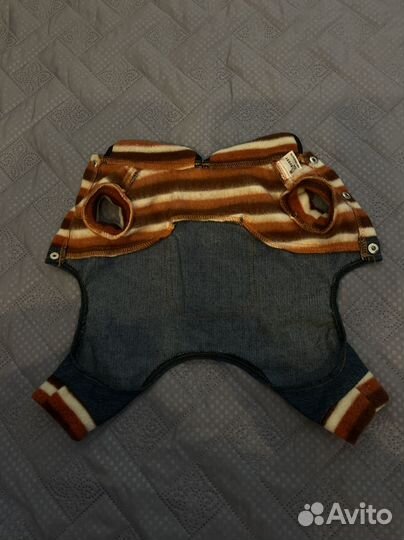 Комбинезон для маленькой собачки