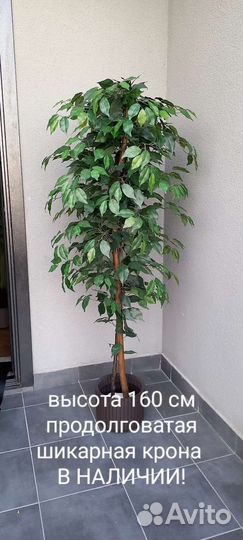 Искусственное дерево фикус