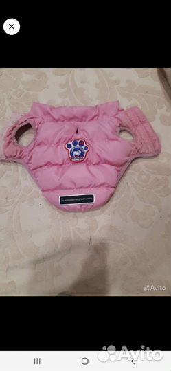 Одежда для маленьких собак