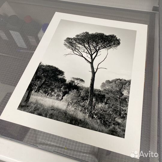 Оптическая аналоговая печать цифровых фотографий