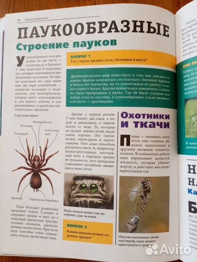 Увлекательная биология