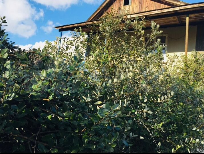 Участок 6 сот. (ИЖС)