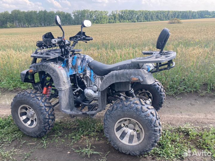 Квадроцикл grizzly 250