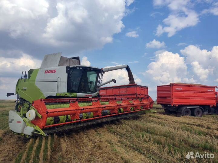 Уборка урожая рапса, сои, кукурузы, подсолнечника