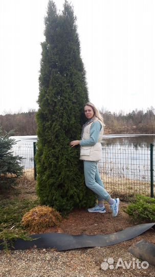 Няня,помощница