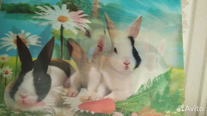 Переливания панорама 3D