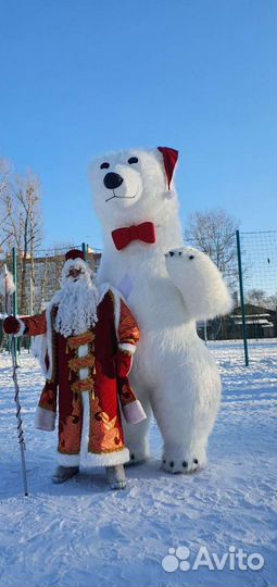 Дед Мороз в новом Топ-проекте