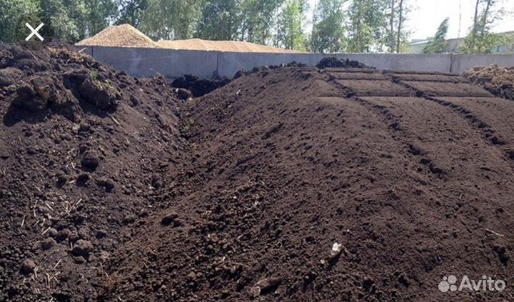 Чернозем (плодородный)