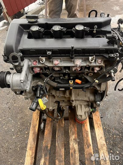 Двигатель ford focus 2 1.8 qqdb