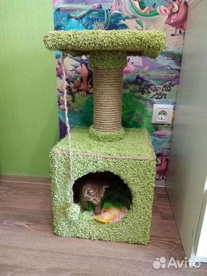 Когтеточка, домик кошке, котенка, лежанка