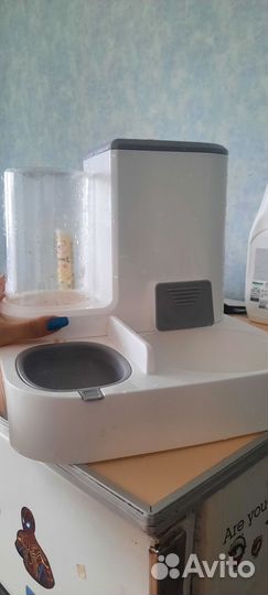 Кормушка для кошек с поилкой